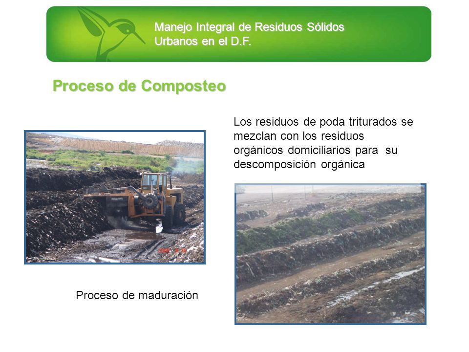 Proceso de Composteo Los residuos de poda triturados se mezclan con los residuos orgánicos domiciliarios para su descomposición orgánica.