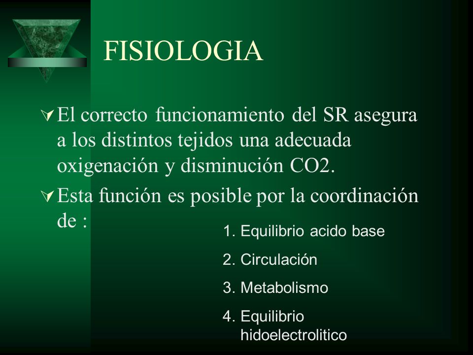 FISIOLOGIA El correcto funcionamiento del SR asegura a los distintos tejidos una adecuada oxigenación y disminución CO2.