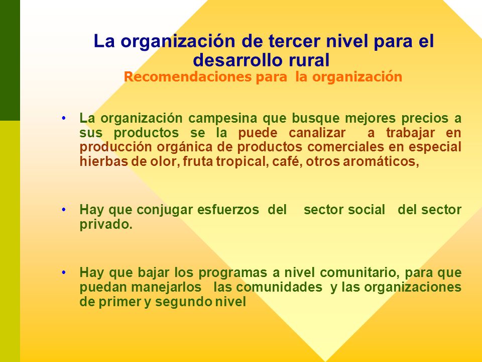 La organización de tercer nivel para el desarrollo rural Recomendaciones para la organización