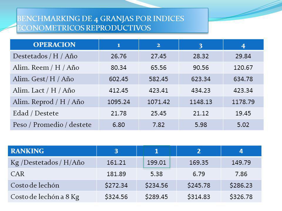 BENCHMARKING DE 4 GRANJAS POR INDICES ECONOMETRICOS REPRODUCTIVOS