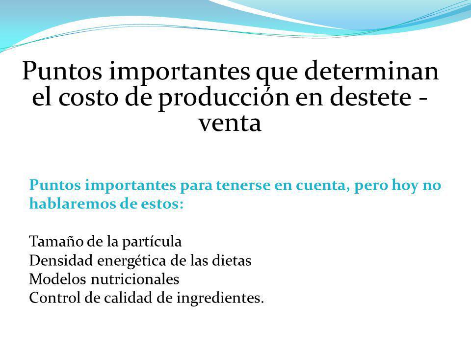 Puntos importantes que determinan el costo de producción en destete - venta