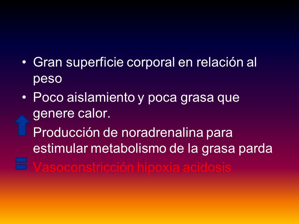 Gran superficie corporal en relación al peso