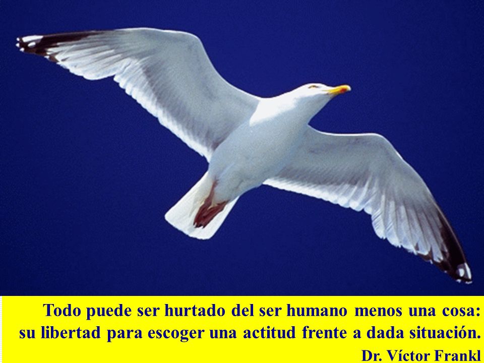 Todo puede ser hurtado del ser humano menos una cosa: