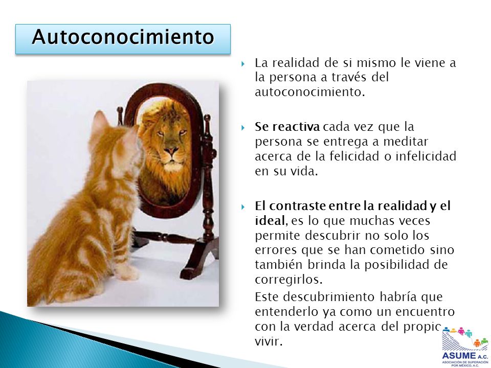Autoconocimiento La realidad de si mismo le viene a la persona a través del autoconocimiento.