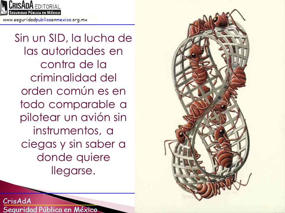 Sin un SID, la lucha de las autoridades en contra de la criminalidad del orden común es en todo comparable a pilotear un avión sin instrumentos, a ciegas y sin saber a donde quiere llegarse.