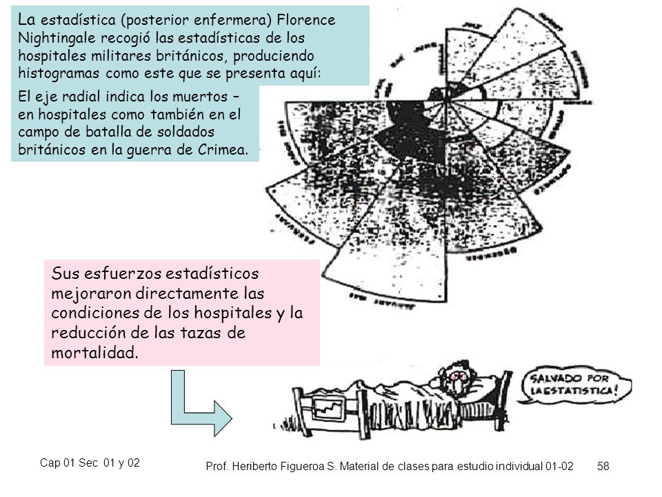 La estadística (posterior enfermera) Florence Nightingale recogió las estadísticas de los hospitales militares británicos, produciendo histogramas como este que se presenta aquí: