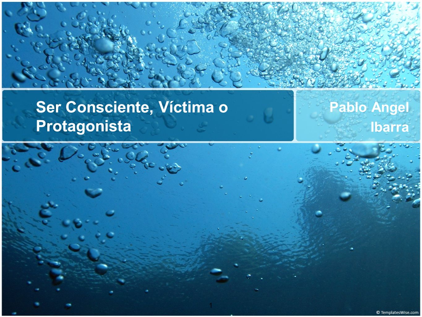 Ser Consciente, Víctima o Protagonista