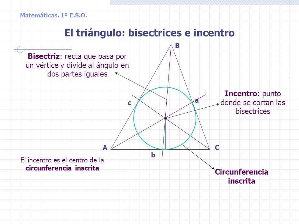 El triángulo: bisectrices e incentro Circunferencia inscrita