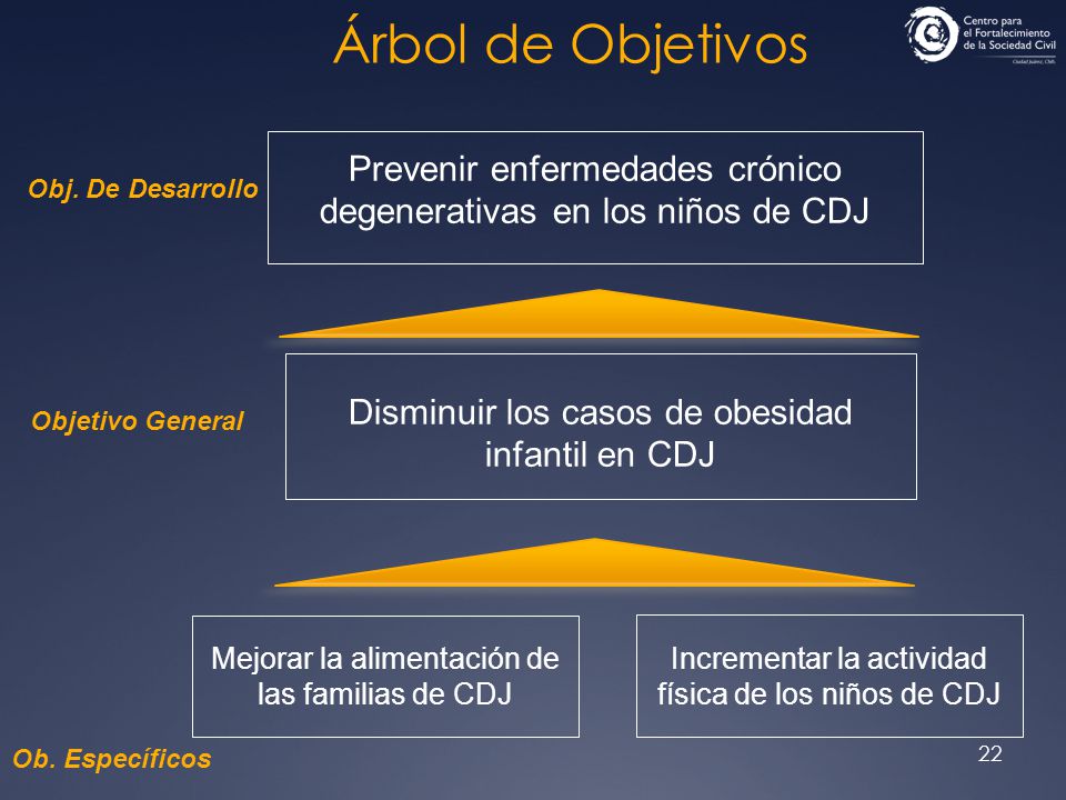 Árbol de Objetivos Prevenir enfermedades crónico degenerativas en los niños de CDJ. Obj. De Desarrollo.