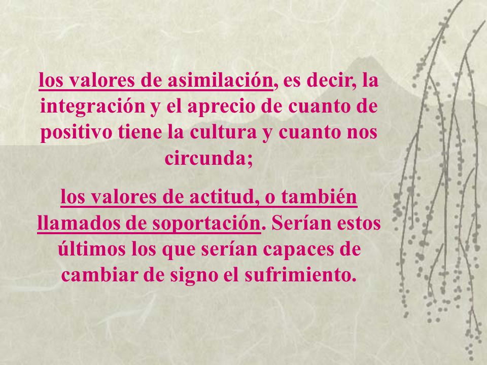 los valores de asimilación, es decir, la integración y el aprecio de cuanto de positivo tiene la cultura y cuanto nos circunda;