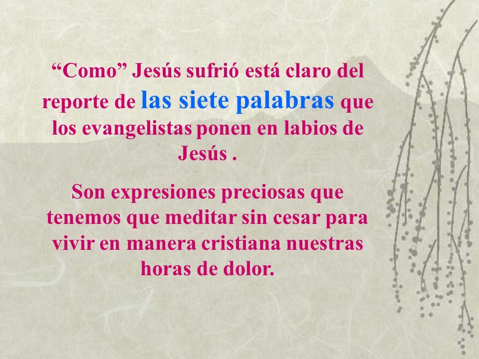 Como Jesús sufrió está claro del reporte de las siete palabras que los evangelistas ponen en labios de Jesús .