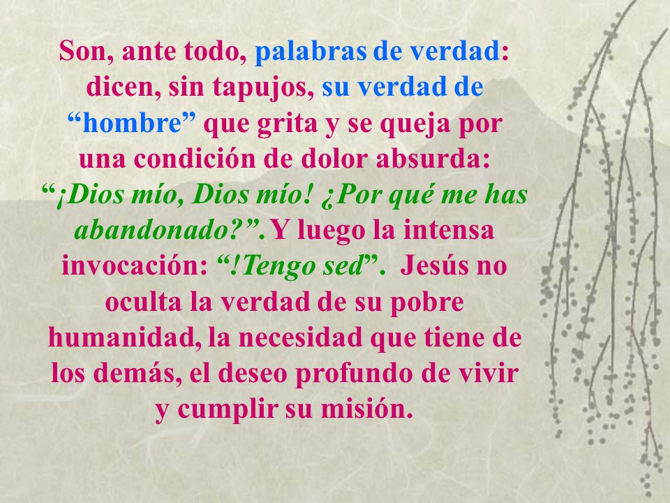 Son, ante todo, palabras de verdad: dicen, sin tapujos, su verdad de hombre que grita y se queja por una condición de dolor absurda: ¡Dios mío, Dios mío.