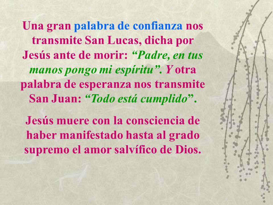 Una gran palabra de confianza nos transmite San Lucas, dicha por Jesús ante de morir: Padre, en tus manos pongo mi espíritu . Y otra palabra de esperanza nos transmite San Juan: Todo está cumplido .