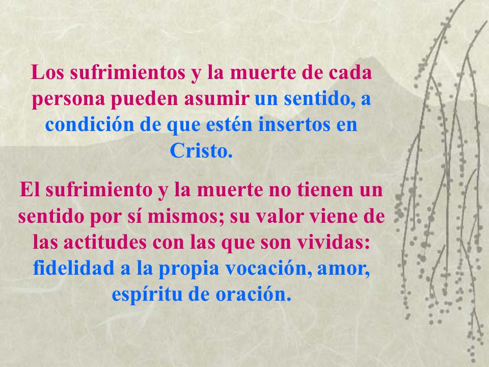 Los sufrimientos y la muerte de cada persona pueden asumir un sentido, a condición de que estén insertos en Cristo.