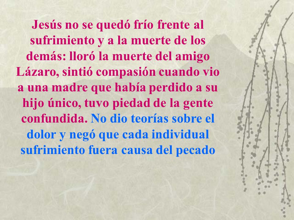 Jesús no se quedó frío frente al sufrimiento y a la muerte de los demás: lloró la muerte del amigo Lázaro, sintió compasión cuando vio a una madre que había perdido a su hijo único, tuvo piedad de la gente confundida.