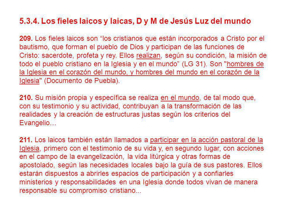 Los fieles laicos y laicas, D y M de Jesús Luz del mundo