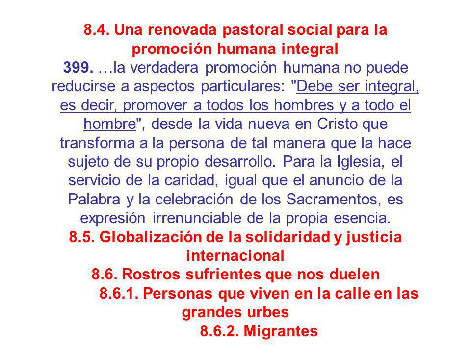 8.4. Una renovada pastoral social para la promoción humana integral