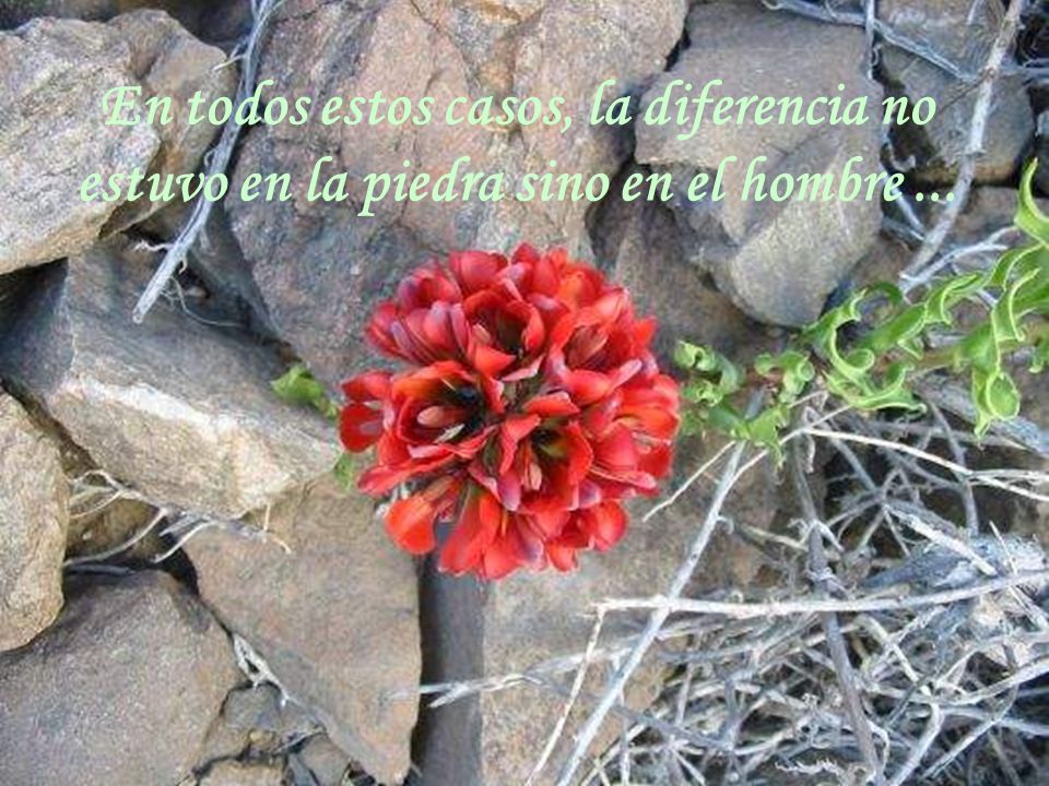 En todos estos casos, la diferencia no estuvo en la piedra sino en el hombre ...