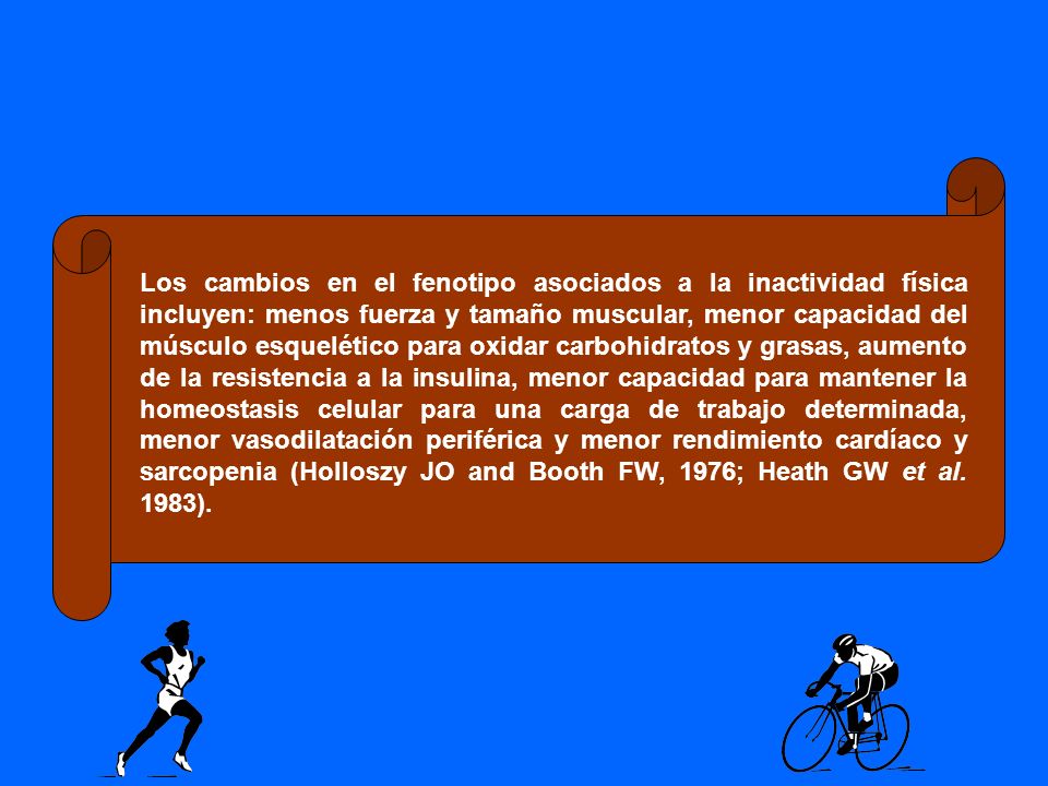Los cambios en el fenotipo asociados a la inactividad física incluyen: menos fuerza y tamaño muscular, menor capacidad del músculo esquelético para oxidar carbohidratos y grasas, aumento de la resistencia a la insulina, menor capacidad para mantener la homeostasis celular para una carga de trabajo determinada, menor vasodilatación periférica y menor rendimiento cardíaco y sarcopenia (Holloszy JO and Booth FW, 1976; Heath GW et al.