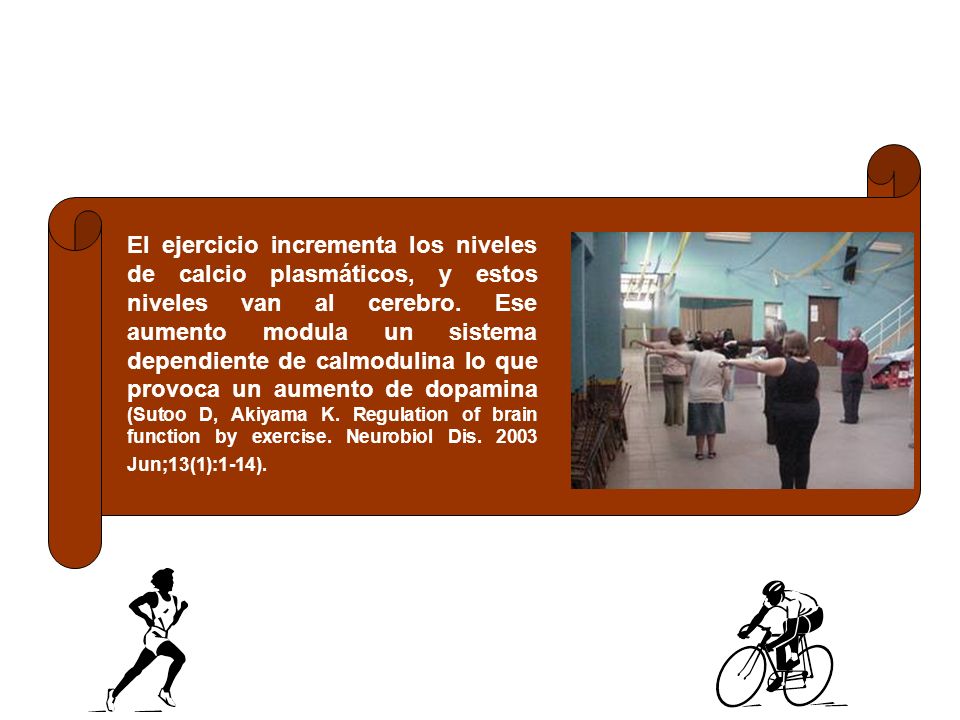 El ejercicio incrementa los niveles de calcio plasmáticos, y estos niveles van al cerebro.