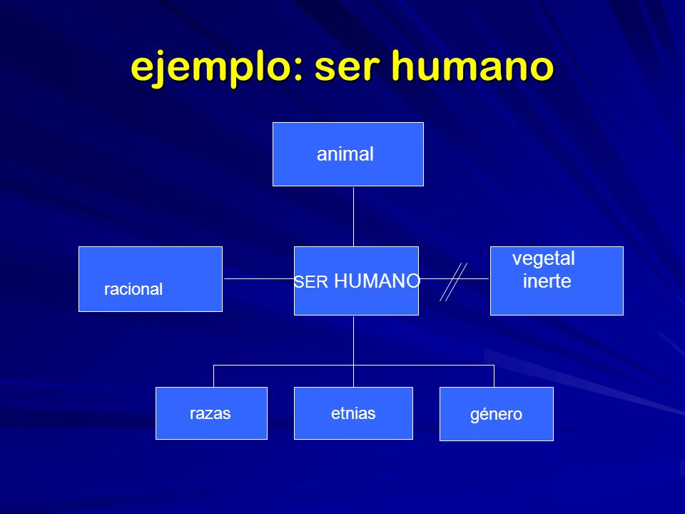 ejemplo: ser humano animal vegetal inerte racional SER HUMANO razas