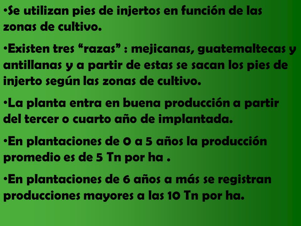 Se utilizan pies de injertos en función de las zonas de cultivo.