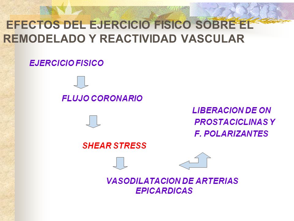 EFECTOS DEL EJERCICIO FISICO SOBRE EL REMODELADO Y REACTIVIDAD VASCULAR