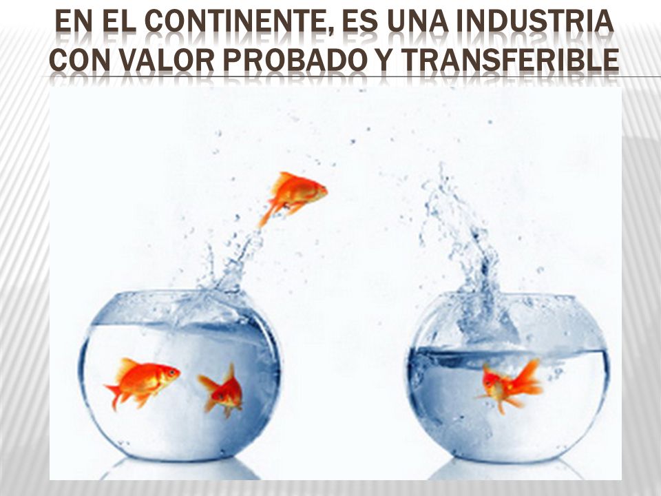 EN EL CONTInENTE, ES UNA INDUSTRIA CON VALOR PROBADO Y TRANSFERIBLE