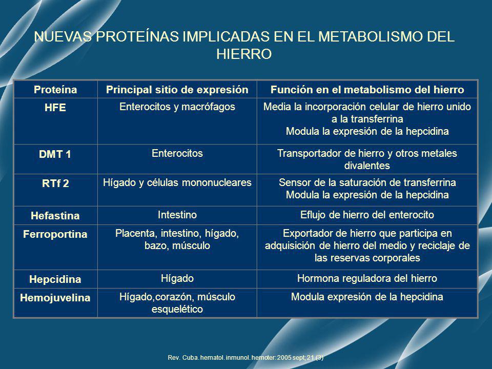 Principal sitio de expresión Función en el metabolismo del hierro
