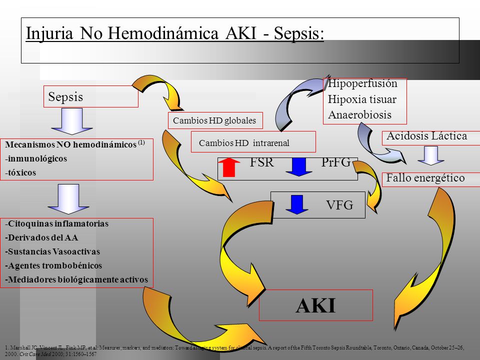AKI Injuria No Hemodinámica AKI - Sepsis: Sepsis Cambios HD intrarenal
