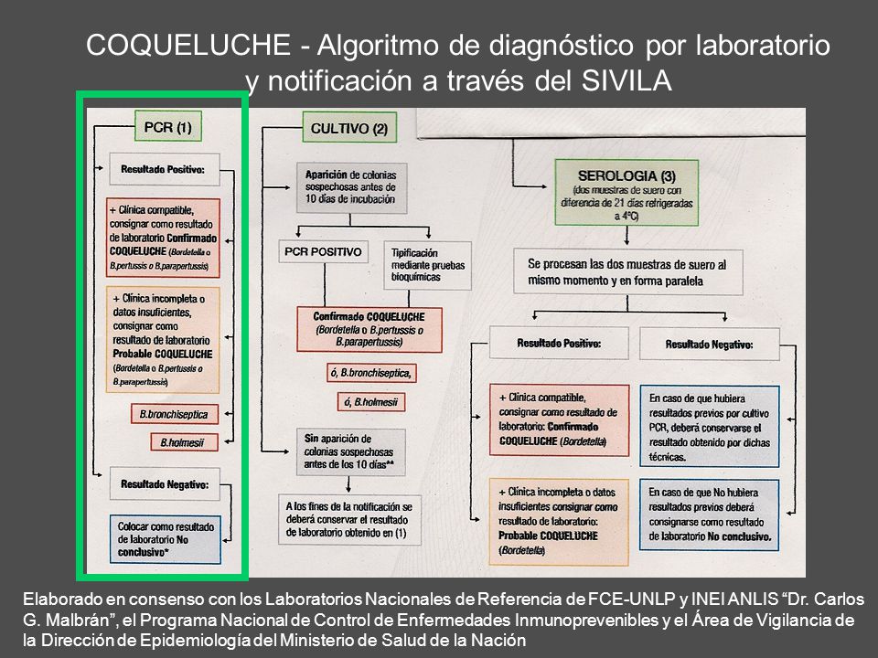 COQUELUCHE - Algoritmo de diagnóstico por laboratorio