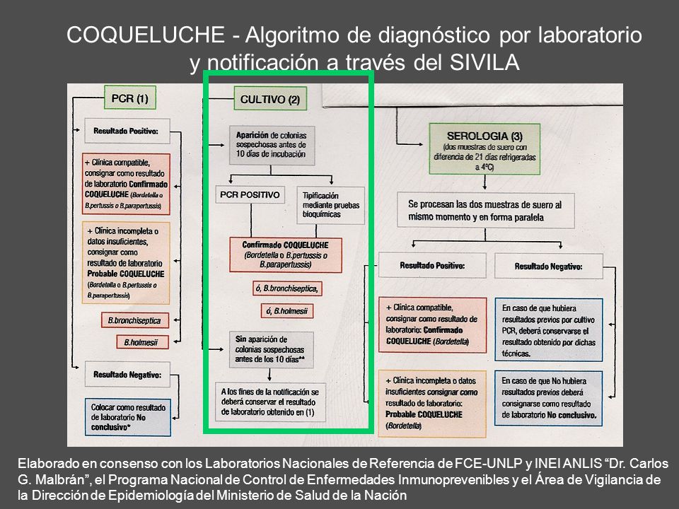 COQUELUCHE - Algoritmo de diagnóstico por laboratorio