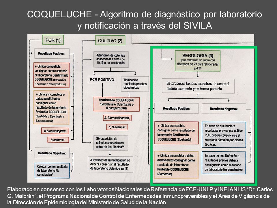 COQUELUCHE - Algoritmo de diagnóstico por laboratorio