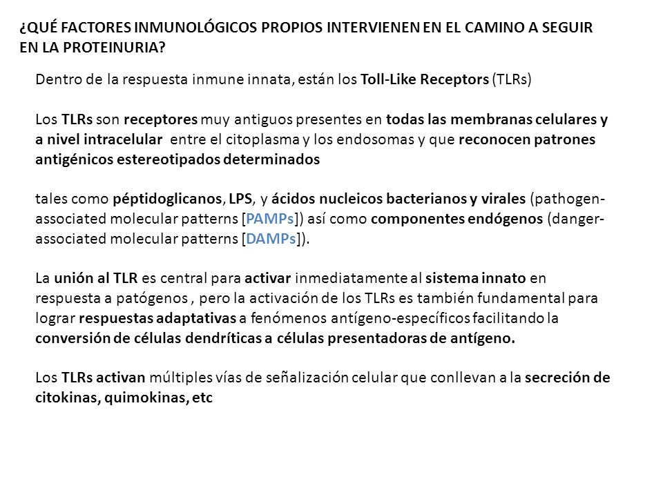 ¿QUÉ FACTORES INMUNOLÓGICOS PROPIOS INTERVIENEN EN EL CAMINO A SEGUIR EN LA PROTEINURIA
