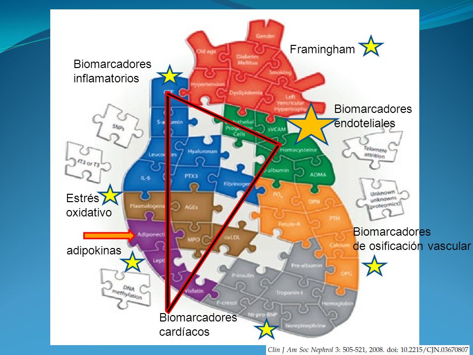 Framingham Biomarcadores. inflamatorios. Biomarcadores. endoteliales. Estrés. oxidativo. Biomarcadores.