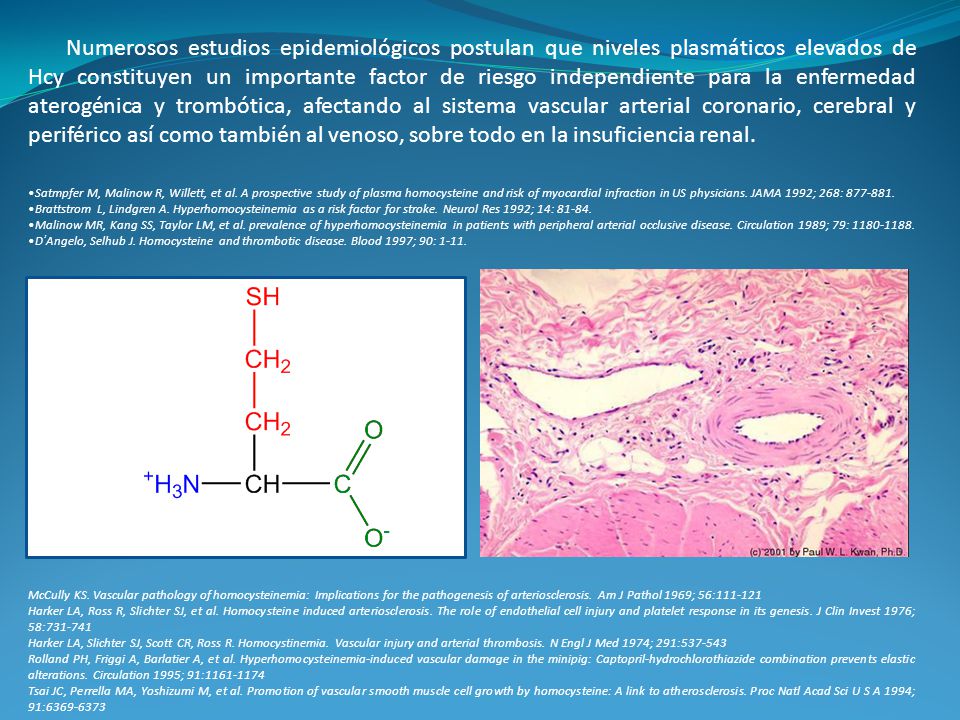Numerosos estudios epidemiológicos postulan que niveles plasmáticos elevados de Hcy constituyen un importante factor de riesgo independiente para la enfermedad aterogénica y trombótica, afectando al sistema vascular arterial coronario, cerebral y periférico así como también al venoso, sobre todo en la insuficiencia renal.