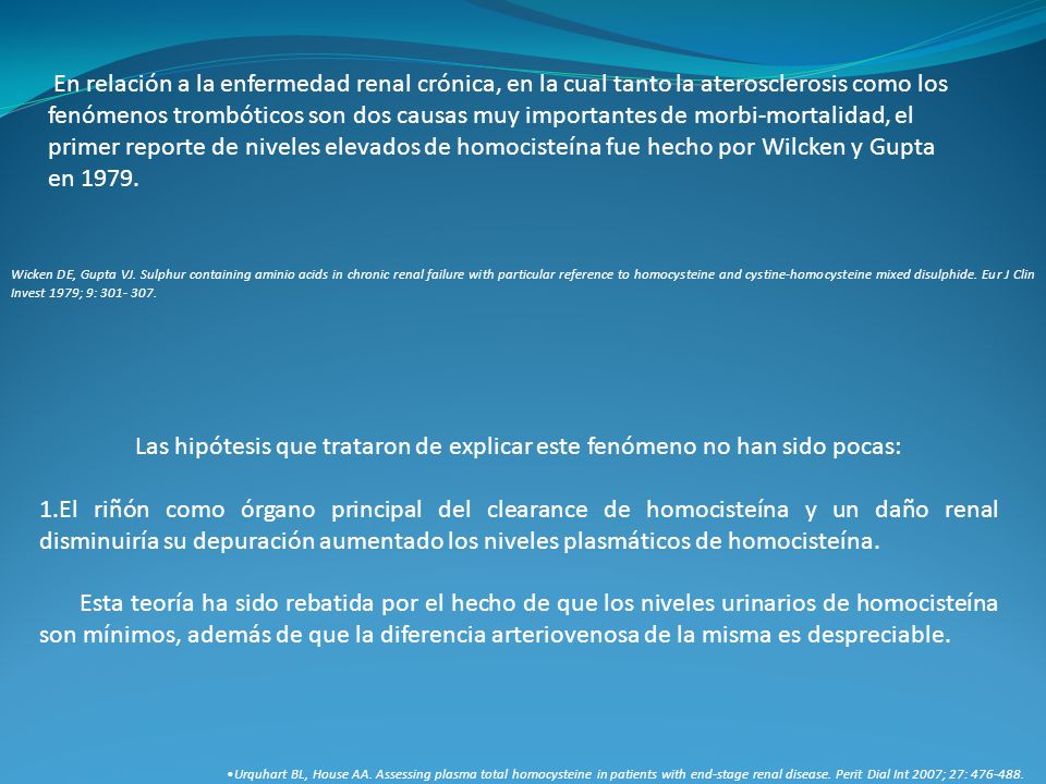 En relación a la enfermedad renal crónica, en la cual tanto la aterosclerosis como los fenómenos trombóticos son dos causas muy importantes de morbi-mortalidad, el primer reporte de niveles elevados de homocisteína fue hecho por Wilcken y Gupta en 1979.