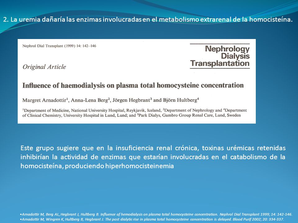 2. La uremia dañaría las enzimas involucradas en el metabolismo extrarenal de la homocisteína.