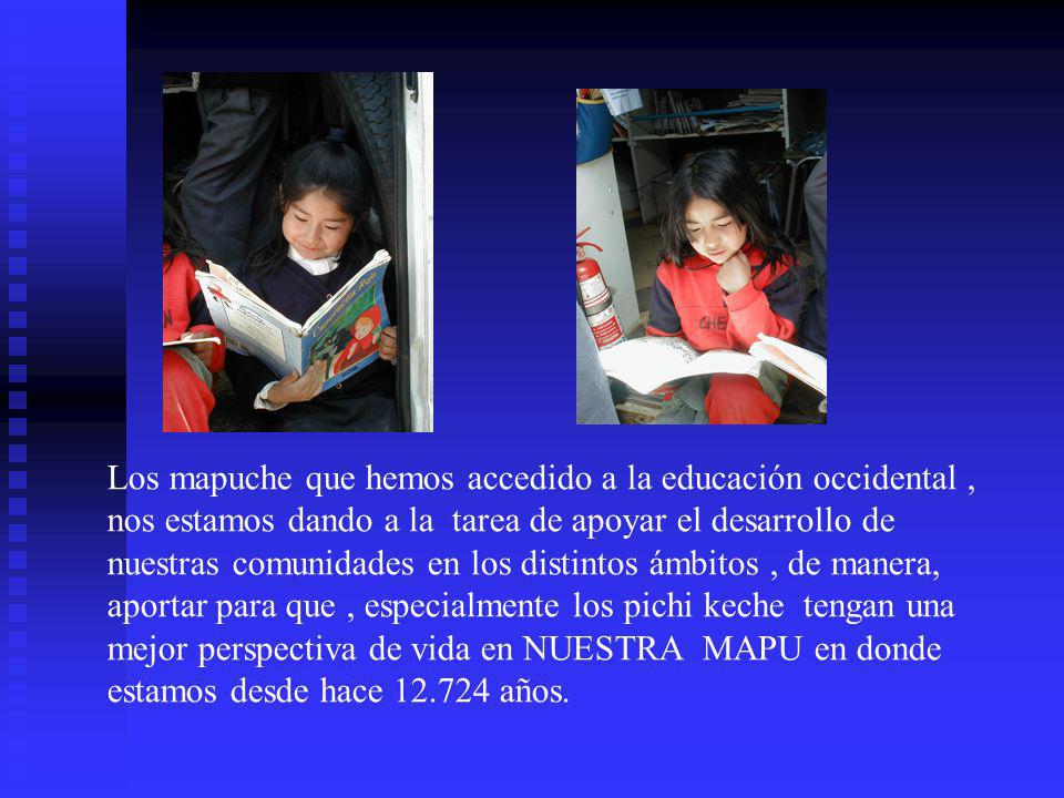 Los mapuche que hemos accedido a la educación occidental , nos estamos dando a la tarea de apoyar el desarrollo de nuestras comunidades en los distintos ámbitos , de manera, aportar para que , especialmente los pichi keche tengan una mejor perspectiva de vida en NUESTRA MAPU en donde estamos desde hace años.