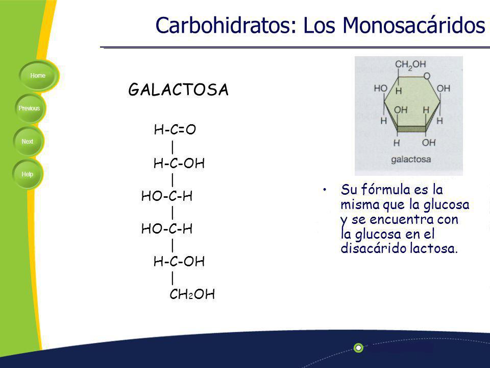 Carbohidratos: Los Monosacáridos