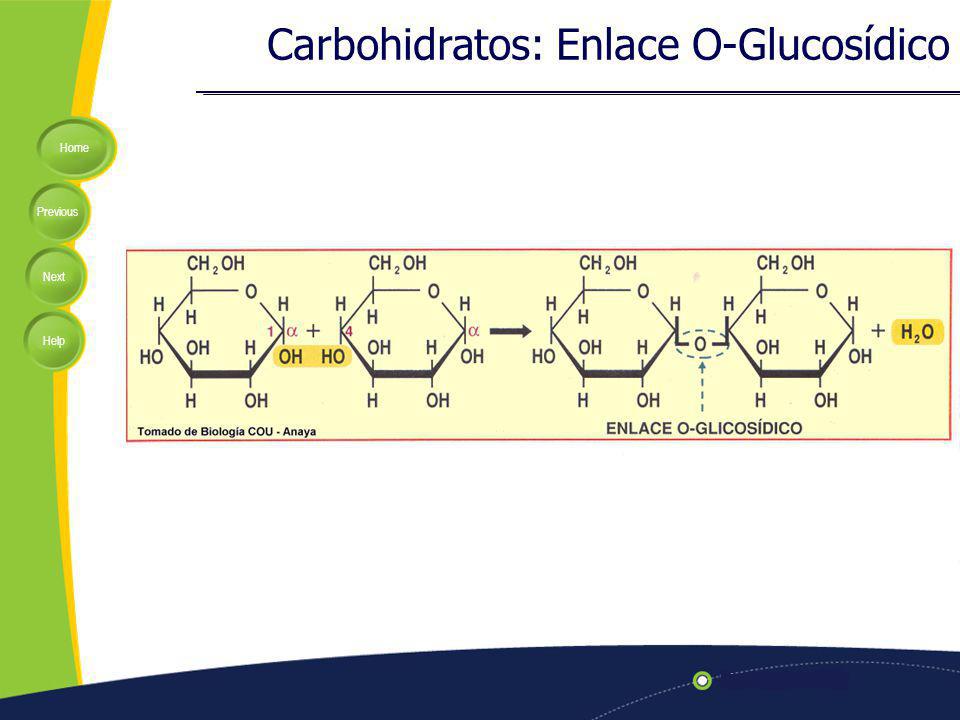 Carbohidratos: Enlace O-Glucosídico