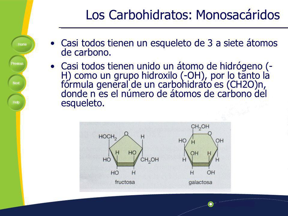 Los Carbohidratos: Monosacáridos