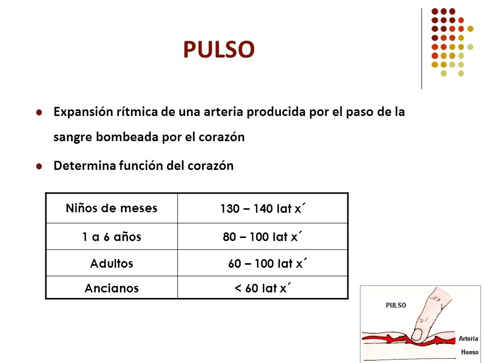 PULSO Expansión rítmica de una arteria producida por el paso de la sangre bombeada por el corazón. Determina función del corazón.