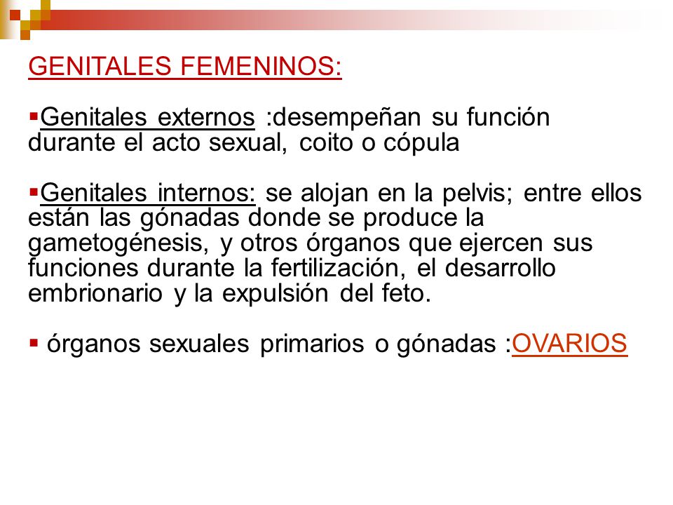 GENITALES FEMENINOS: Genitales externos :desempeñan su función durante el acto sexual, coito o cópula.