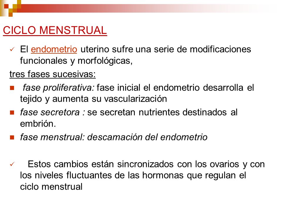 CICLO MENSTRUAL El endometrio uterino sufre una serie de modificaciones funcionales y morfológicas,