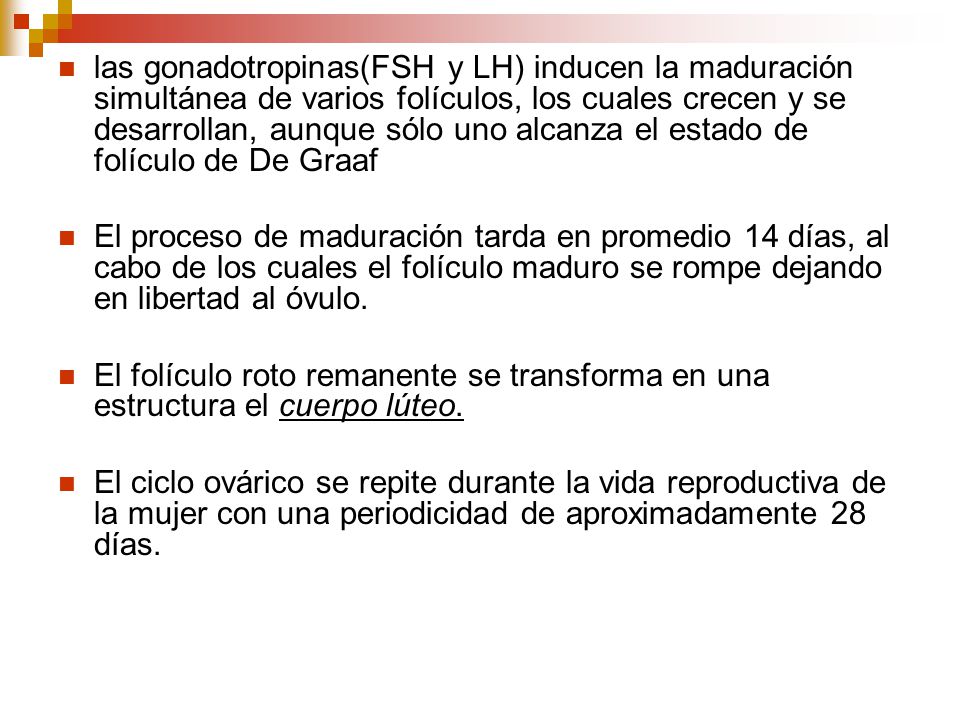 las gonadotropinas(FSH y LH) inducen la maduración simultánea de varios folículos, los cuales crecen y se desarrollan, aunque sólo uno alcanza el estado de folículo de De Graaf