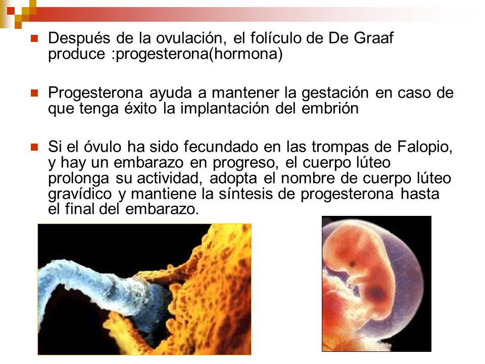 Después de la ovulación, el folículo de De Graaf produce :progesterona(hormona)