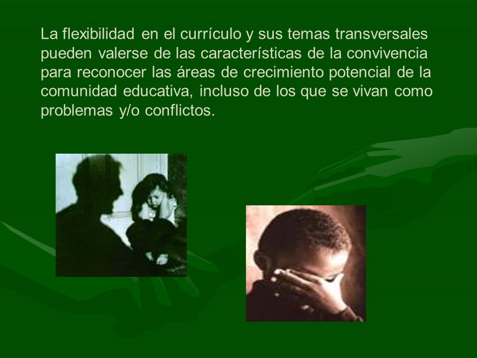 La flexibilidad en el currículo y sus temas transversales pueden valerse de las características de la convivencia para reconocer las áreas de crecimiento potencial de la comunidad educativa, incluso de los que se vivan como problemas y/o conflictos.