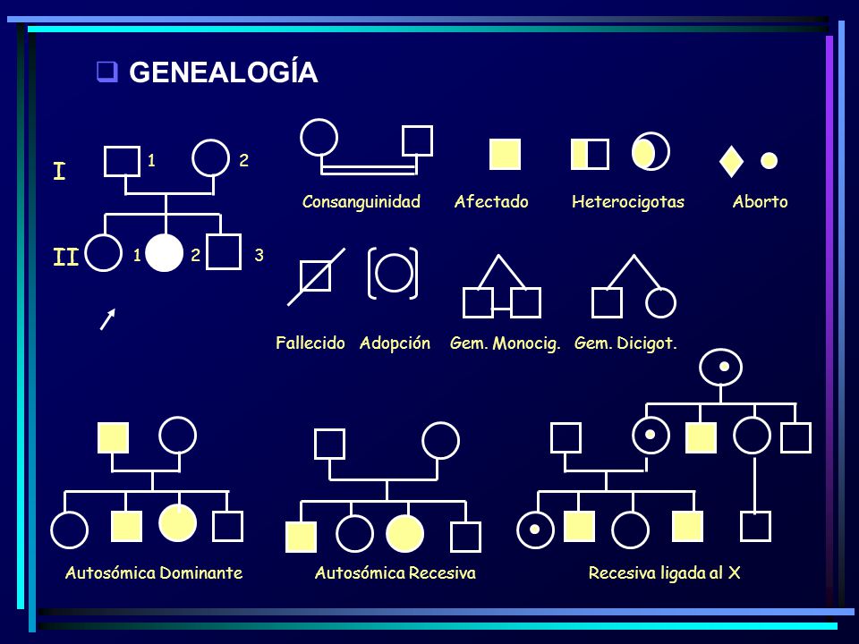 GENEALOGÍA I II 1 2 Consanguinidad Afectado Heterocigotas Aborto 1 2 3