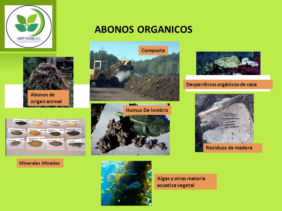 ABONOS ORGANICOS Composta Desperdicios orgánicos de casa Abonos de